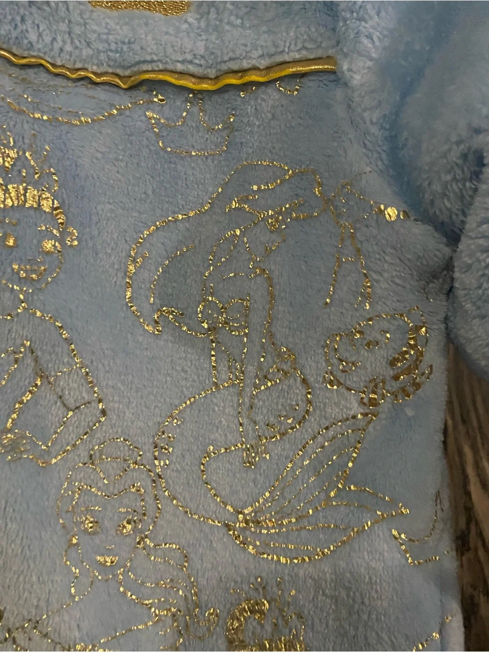 Disney Light Blue Plush Hooded Jacket with Pink Lining and Gold Accents